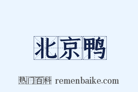 北京鸭是什么意思的图片